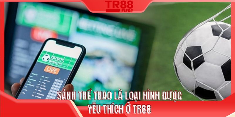 Sảnh thể thao là loại hình được yêu thích ở TR88