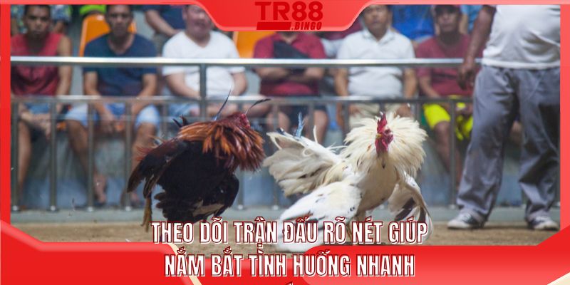 Theo dõi trận đấu rõ nét giúp nắm bắt tình huống nhanh chóng